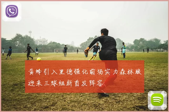 黄蜂引入里德强化前场实力森林狼迎来三球组新首发阵容