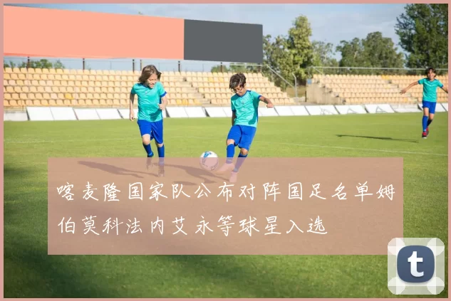喀麦隆国家队公布对阵国足名单姆伯莫科法内艾永等球星入选